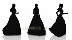Image CG bride silhouette