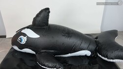 Extra large orca float restraint!