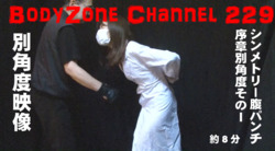 bodyzone BZ-203 不同角度视频第 1 部分