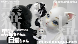BlackOrWhite black cat and white cat