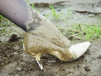 Wet&Messy Shoes Scene005